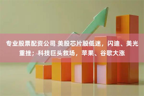 专业股票配资公司 美股芯片股低迷，闪迪、美光重挫；科技巨头救场，苹果、谷歌大涨